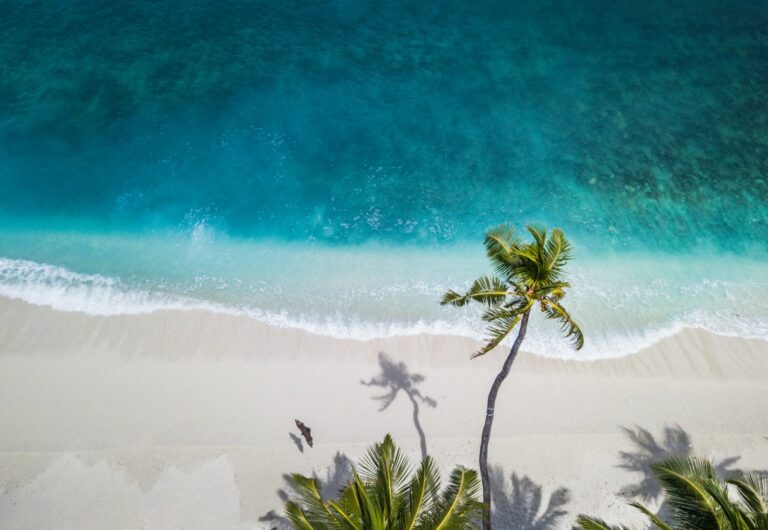 Dagtrips vanaf Curacao: Verken de Natuurlijke Schoonheid